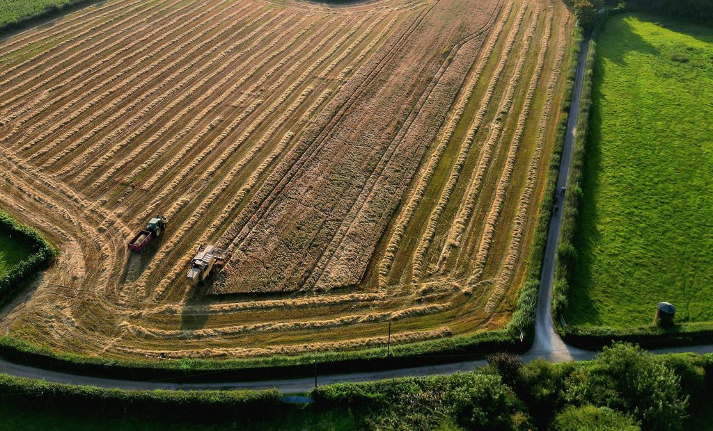 barnton fields hay cutting